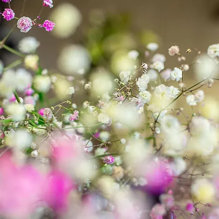 Casa Rondinelli Florencia